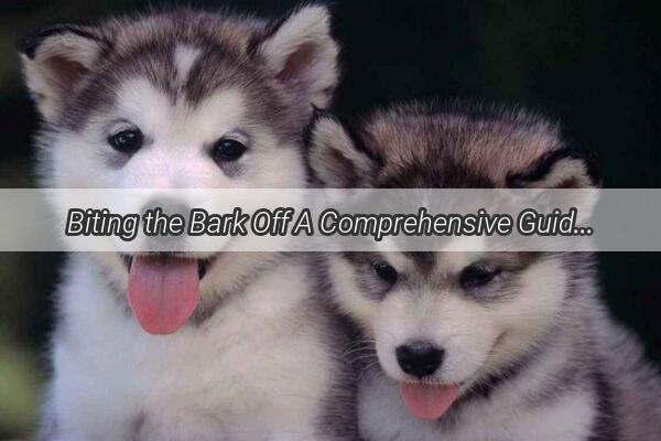 Biting the Bark Off A Comprehensive Guide to Correcting Your Dogs Nipping Habits